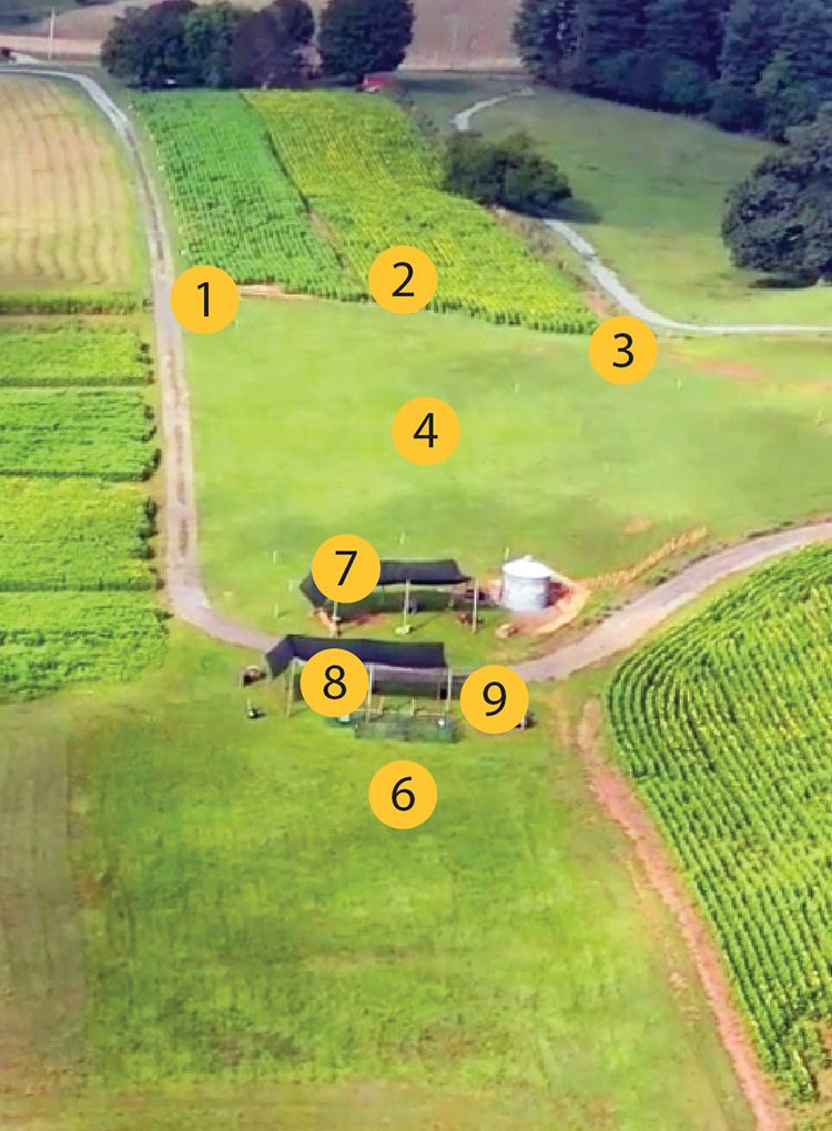 Sunflower Festival map, section 1